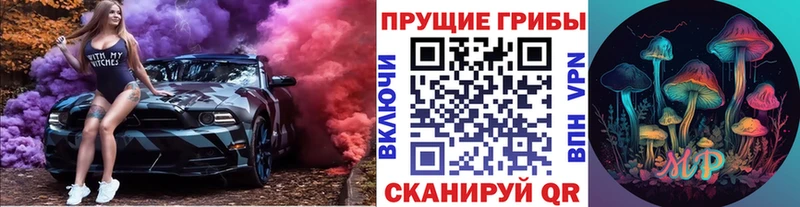 Псилоцибиновые грибы прущие грибы  Алексеевка 